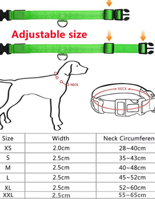 Load image into Gallery viewer, Glowing Dog Collar
