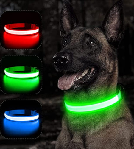 Glowing Dog Collar
