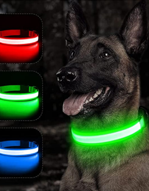 Load image into Gallery viewer, Glowing Dog Collar
