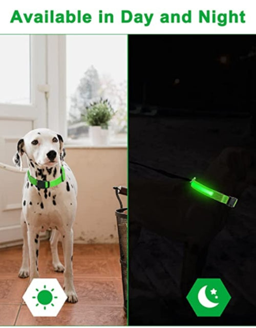 Load image into Gallery viewer, Glowing Dog Collar
