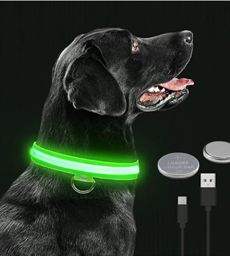 Glowing Dog Collar